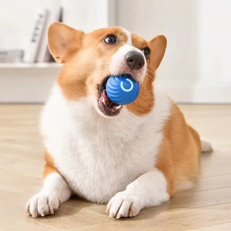 PawLux™ - Smart Ball 2.0